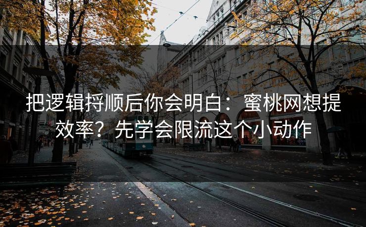 把逻辑捋顺后你会明白：蜜桃网想提效率？先学会限流这个小动作