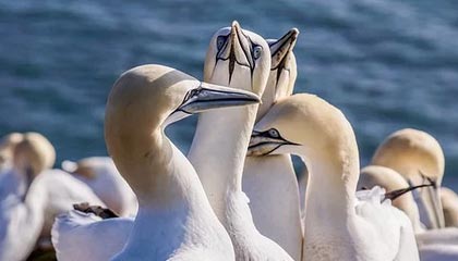 主持人在中午时分遭遇热点事件 热血沸腾,51爆料全网炸锅,详情深扒