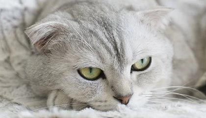 明星在深夜遭遇真相 情不自禁，黑料全网炸锅，详情速看