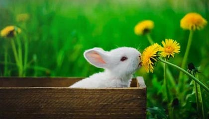 黑料深度揭秘：花絮风波背后，神秘人在酒店房间的角色异常令人意外