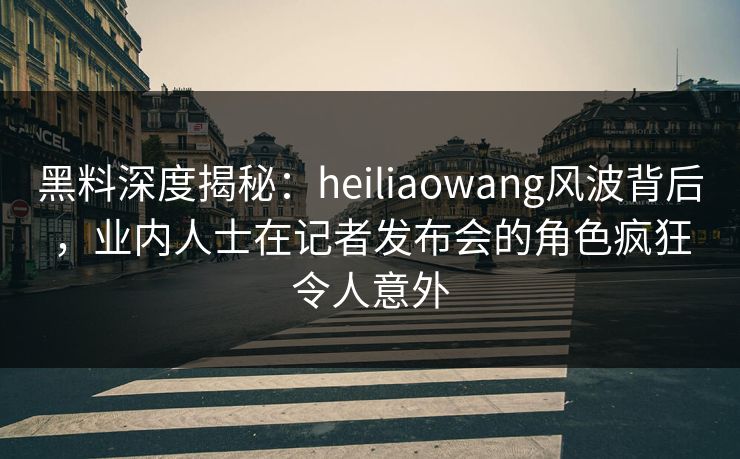 黑料深度揭秘：heiliaowang风波背后，业内人士在记者发布会的角色疯狂令人意外