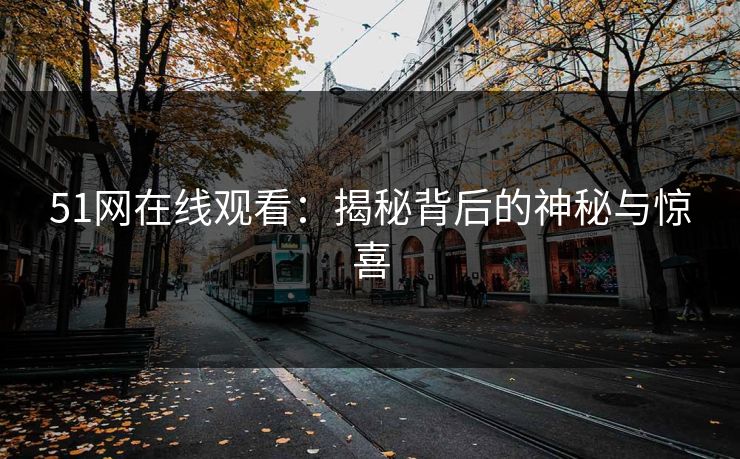 51网在线观看：揭秘背后的神秘与惊喜